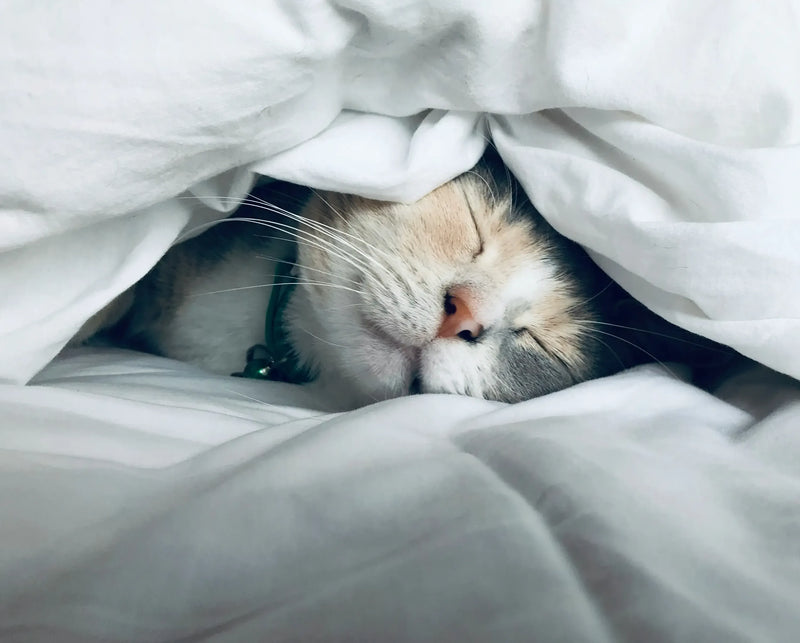 End the night without blue light or endless scrolling.